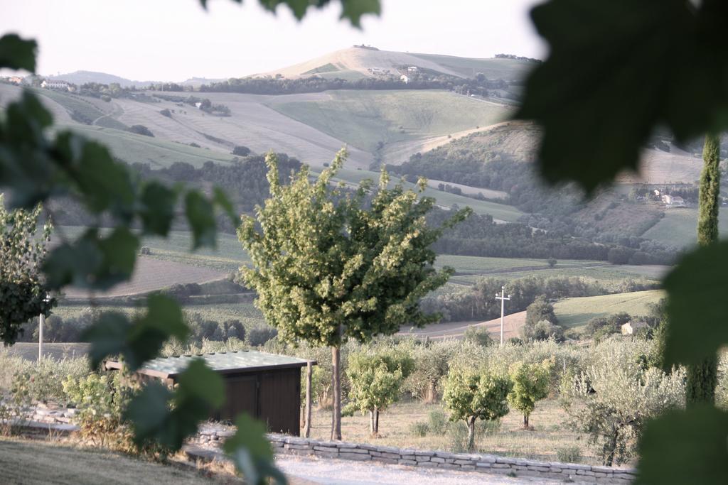 Agriturismo Fattoria Marchetti Hotel Montalto delle Marche Exterior foto